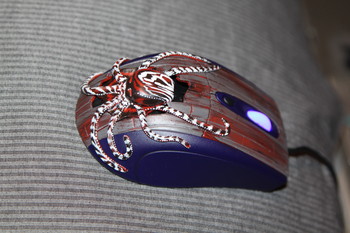 Octopus