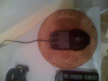Моддинг Trust USB optical Mouse